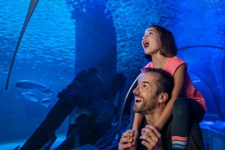 SEA LIFE Aquarium Minnesota Adgangsbillet på Mall of America