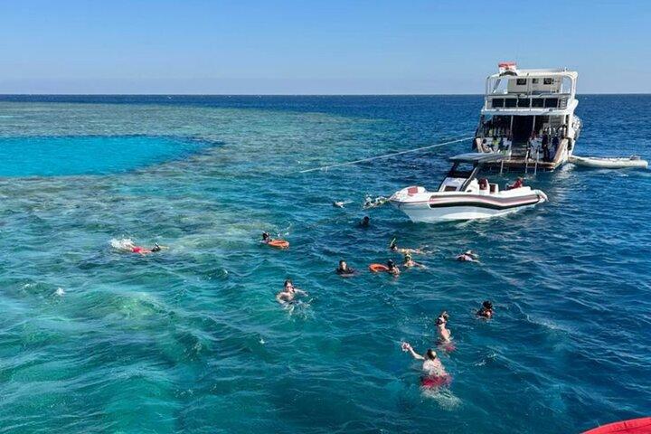 Delfinhaus & Rotes Meer Schnorchelabenteuer mit Mittagessen & Transfers