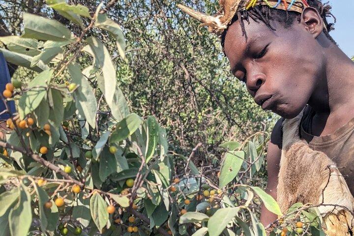 Tagesausflug nach Hadzabe Tribe und Maasai Village Tour