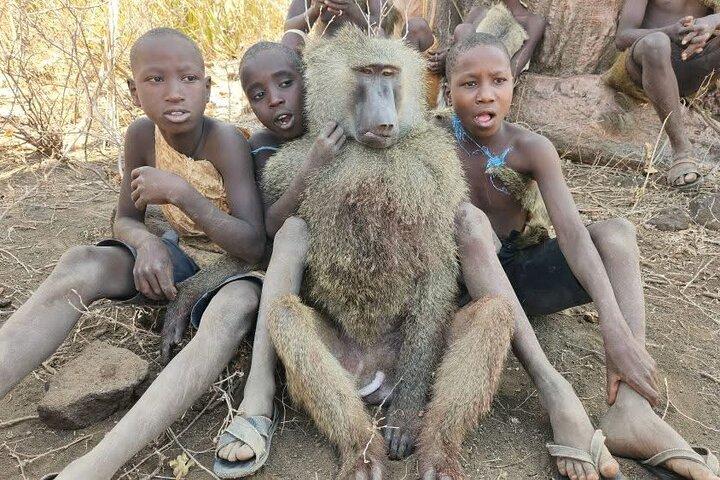 Tagesausflug nach Hadzabe Tribe und Maasai Village Tour
