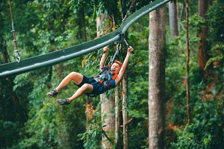 Jungle Flight Zipline rutsjebane