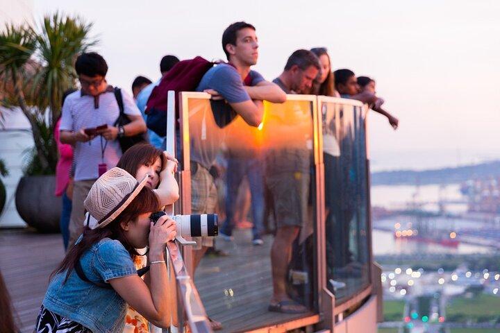 Biglietto d'ingresso al Marina Bay Sands SkyPark Observation Deck