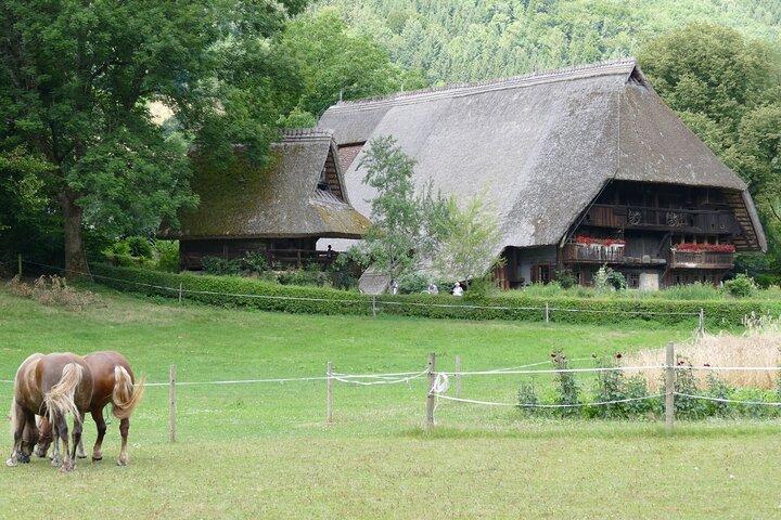 De Estrasburgo: Viagem de um dia para a Floresta Negra