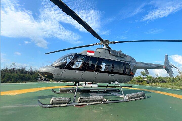 Bali Helikopter Tour: Scenic Helikopter Tour over Bali Natur