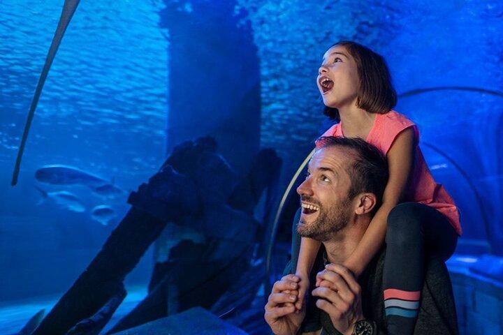 SEA LIFE Aquarium サンアントニオ入場券