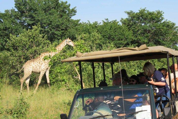 Begeleide Game Drive en Neushoornwandeling in Mosi Oa Tunya National Park