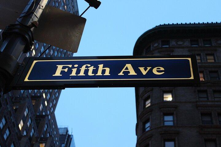 The Gilded Age : Fifth Avenue Millionaire Mansions Tour （ゴールドエイジ：フィフスアベニュー・ミリオネア・マンション・ツアー）