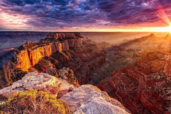 Tour del Grand Canyon, della diga di Hoover e della foresta di Joshua Tree per piccoli gruppi