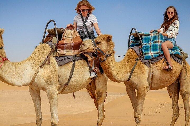 Marrakech Agafay Camel Ride and Dinner Fire Show at sunset