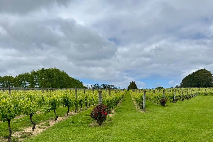 Kumeu Wineries / Brewery