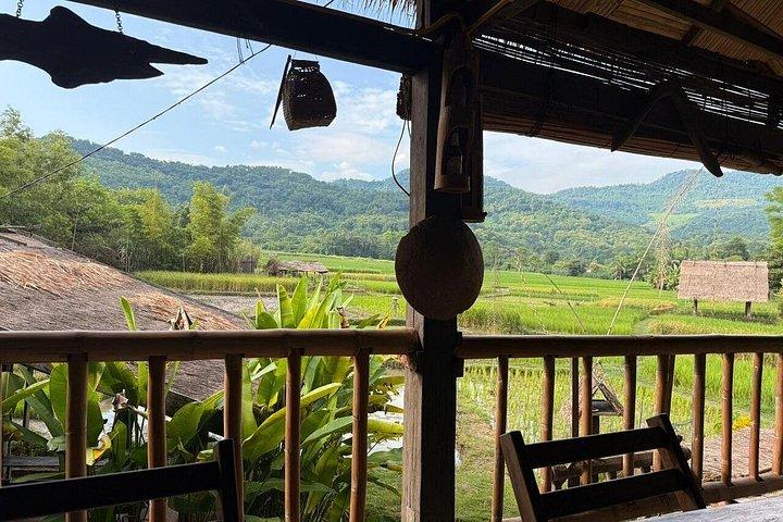 Half-Day Hands-On Rice Learning Experience in Luang Prabang