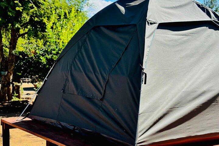2 dias Tlou Camping Safari em Pilanesberg National Park