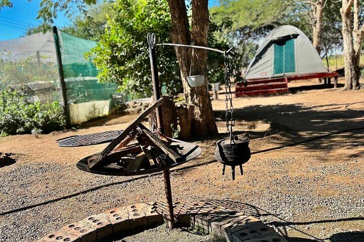 2 dias Tlou Camping Safari em Pilanesberg National Park