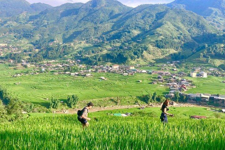 Von Sapa : Trek durch Muong Hoa Valley & Ta Van Ethnic Villages