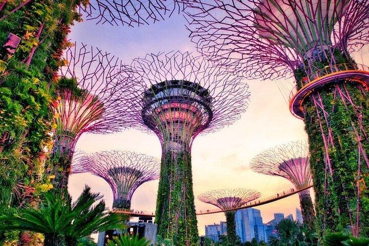 Singapore nachtelijke cruise , Garden Rhapsody & Spectra