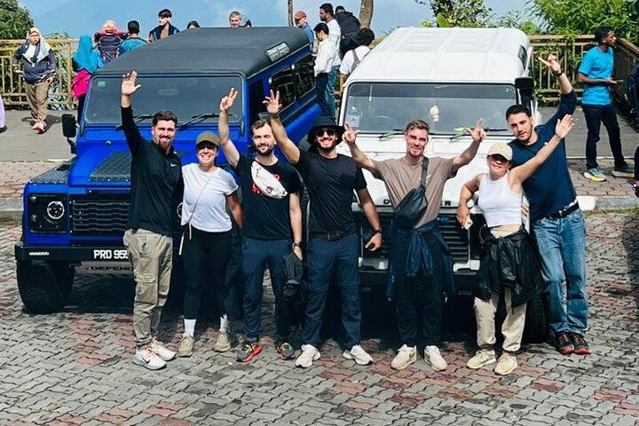 Halbtagestour durch den Mossy Forest (gemeinsame Tour)