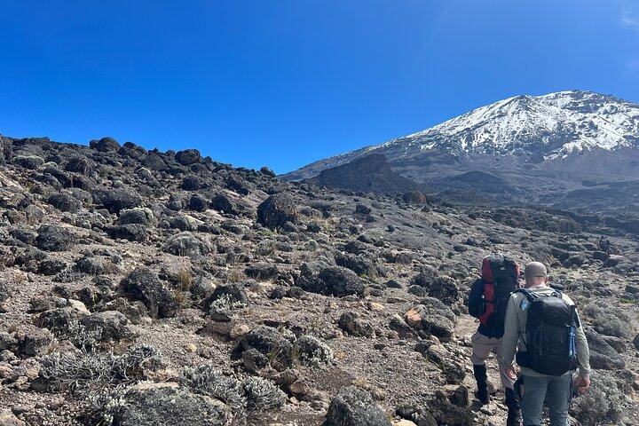 8 dages Kilimanjaro klatring Lemosho rute