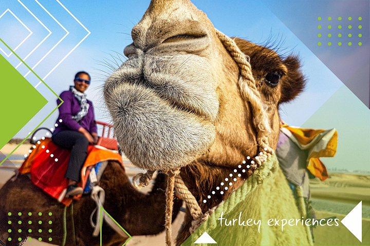Cultural Treasures, Rides by Balloon & Camel : 4 Day in Turkey