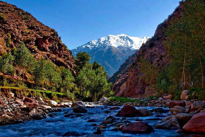 Ourika Valley Day Trip from Marrakech with Lunch and Guide