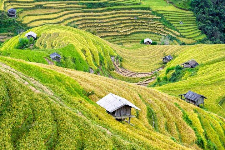 Mai Chau 1 - Dagstur | Oplev den skjulte charme