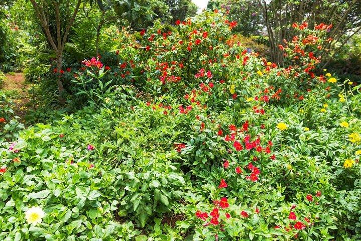 Kiambethu Teefarm Tour und Mittagessen von Nairobi