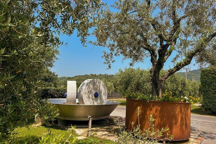 Da Venezia: Tour Olio e Vino dei Colli Euganei