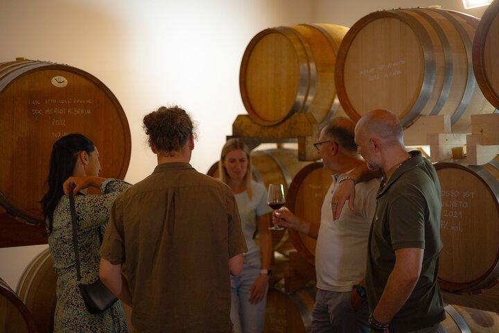 Da Padova: Tour Olio e Vino dei Colli Euganei