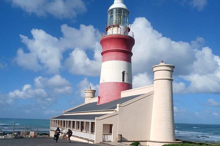 Cape Agulhas with Penguins and Wine Tasting