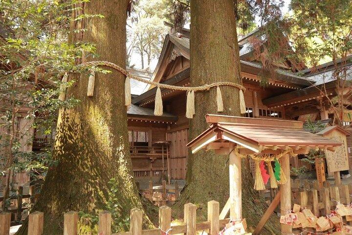 Kumamoto Route Bus 1 dagstur: Takachiho Gorge og lokal frokost