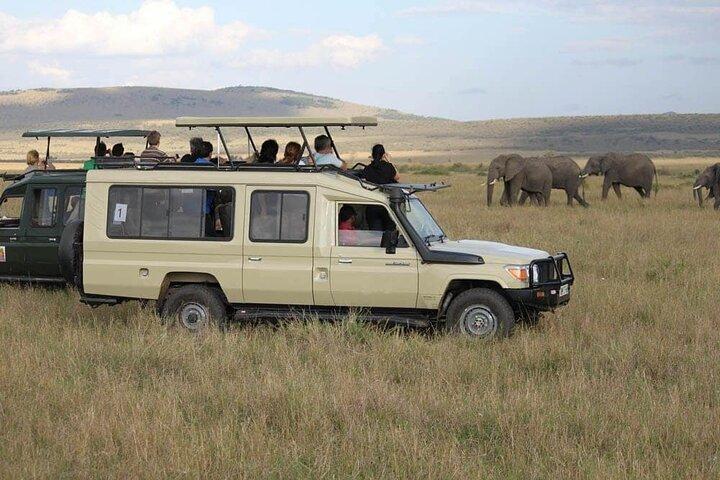 Pianifica la tua avventura di 7 giorni da Maasai Mara ad Amboseli