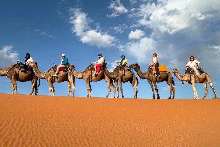 1泊2日サハラ砂漠ツアー（Fes To Fes or Marrakech）