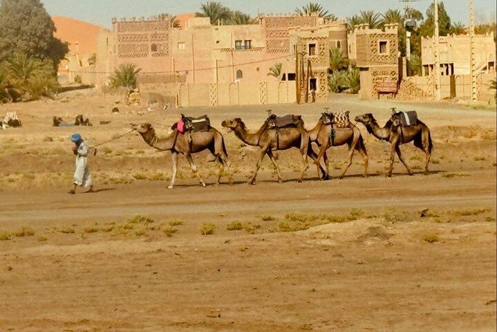 1泊2日サハラ砂漠ツアー（Fes To Fes or Marrakech）