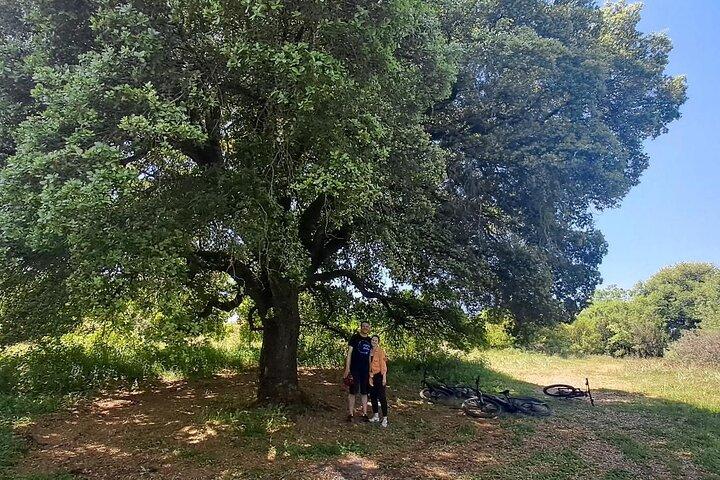 Tour e-MTB - Durrells Farm & Crab Lake [30Km - 18Mi]