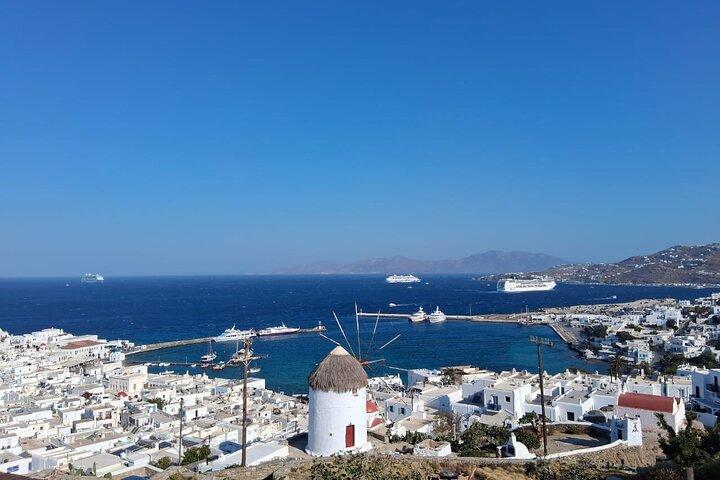Mykonos Private Shore Utflykt för kryssningsfartyg passagerare