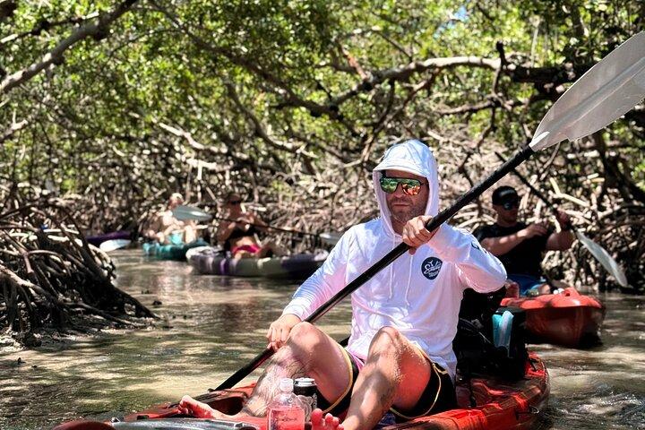 Mangroventunnel Kajaktour nach Shell Key - St. Pete