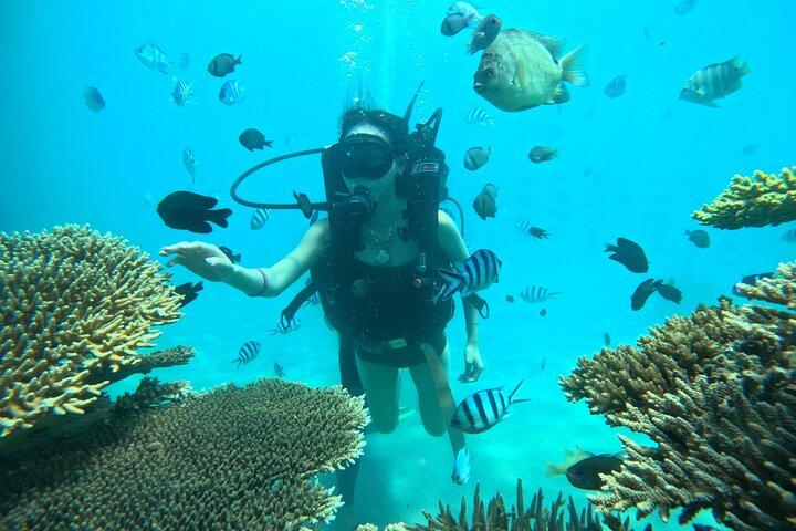 Nha Trang Buceo para cultivar corales