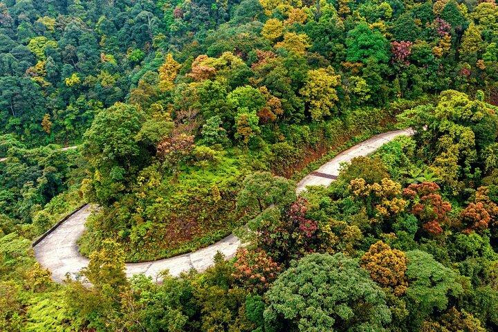 Parque Nacional Bach Ma e Hai Van Pass TOUR PRIVADO