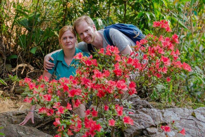 Parque Nacional Bach Ma e Hai Van Pass TOUR PRIVADO