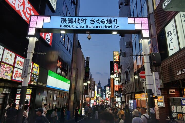 Tokyo Kabukicho Tour & Dinner Party - for Adults Only
