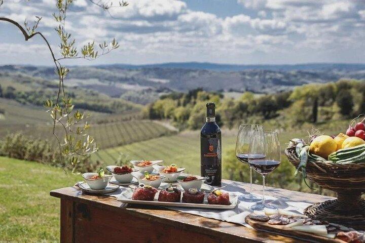 Excursion privée d'une journée en Toscane Sienne San Gimignano et Pise