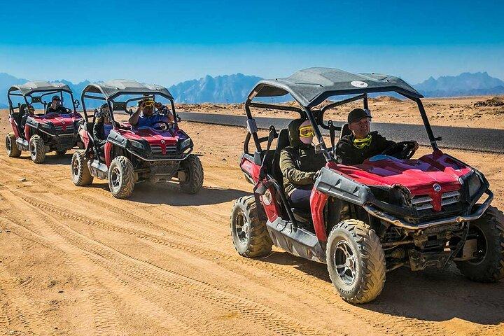 Buggy safari Spider Car Safari fra Hurghada