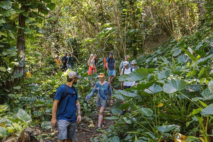 Kipu Zipline Safari - Kayak, Hike & Zipline