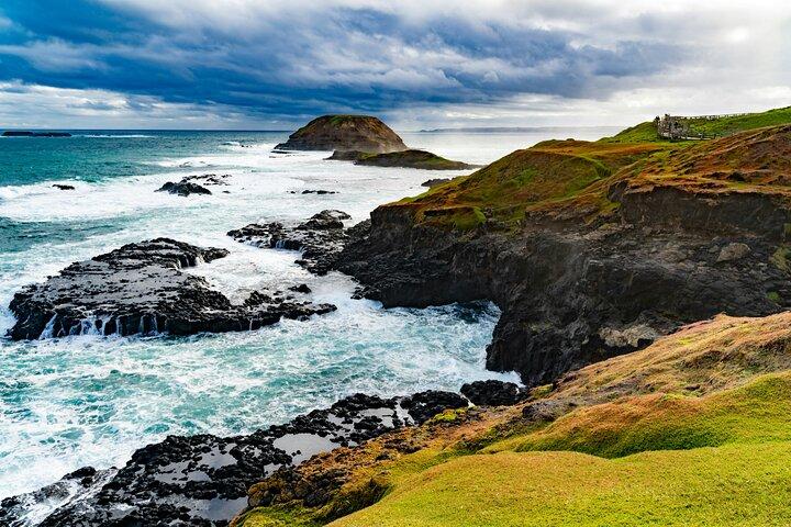 Melbourne Phillip Island Private Tour: Penguin Parade & Wildlife
