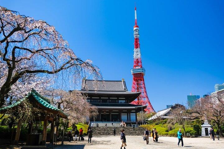 東京午前ツアー明治神宮、浅草、地元寺院