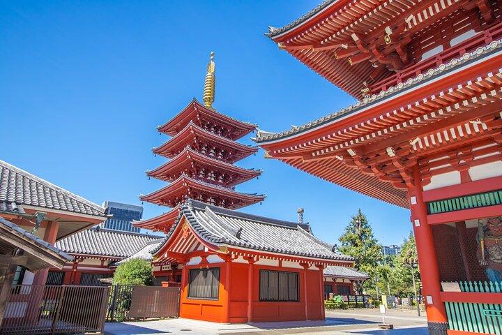 東京午前ツアー明治神宮、浅草、地元寺院
