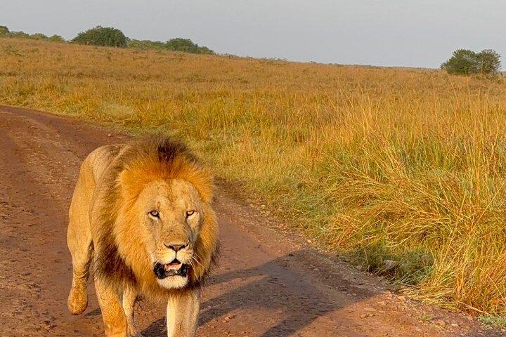 2 dagar 1 natt Nakuru nationalpark genom Naivasha