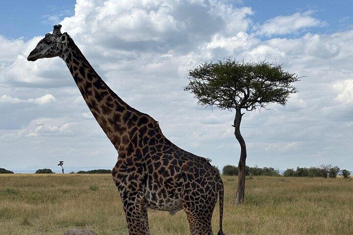 ナイバシャを巡る1泊2日のナクル国立公園