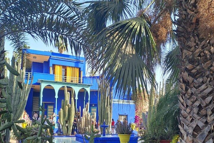 Half-Day Cultural Tour of Marrakech: Gardens & Medina Life