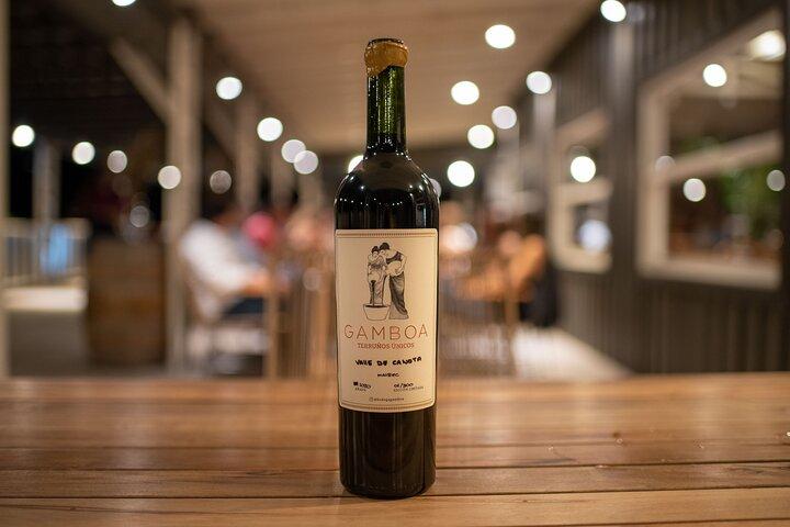 Bodega Gamboa Degustación de vinos premium con almuerzo