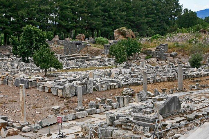 2-Day Private Guided Ephesus & Pamukkale Tour from Istanbul